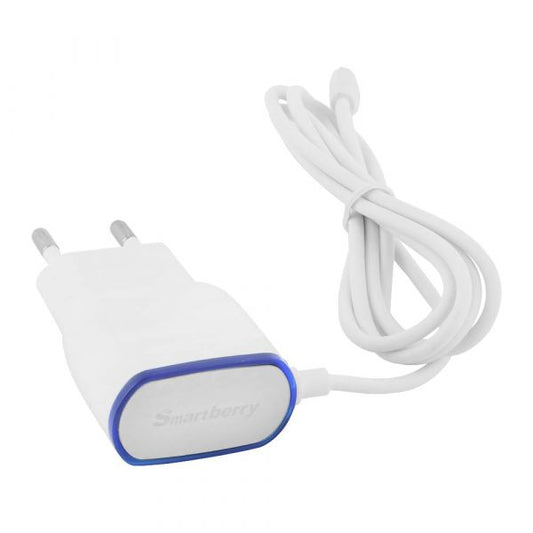 Smartberry X101 Fast Charger