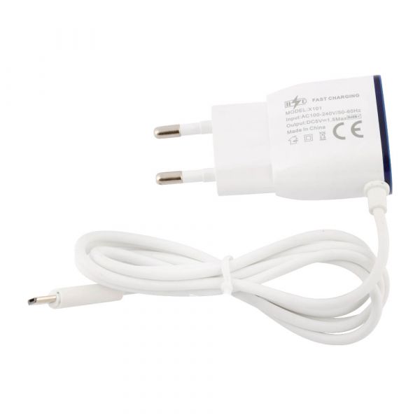 Smartberry X101 Fast Charger